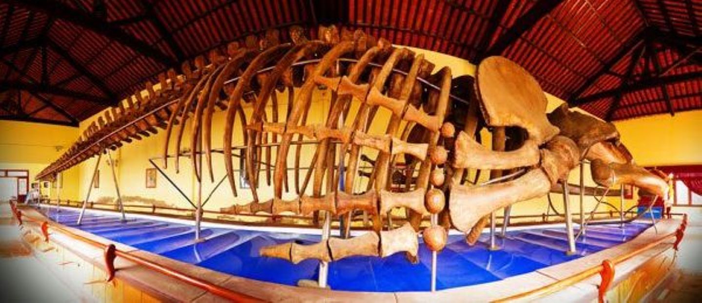 Discover Ke Ga Lighthouse | From Mui Ne